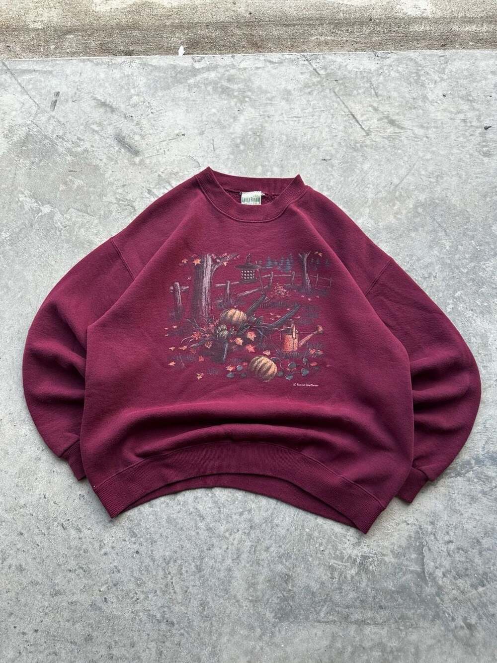 Vintage 90s Green Banana Maroon Autumn Garden Sweatshirt with Pumpkins and Water